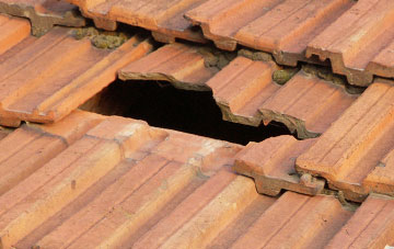 roof repair Taleford, Devon