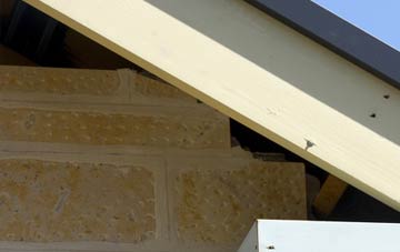soffit repair Taleford