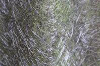 Taleford fibreglass roof work